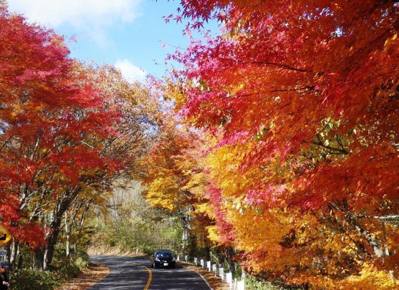 Picture 1 for Activity From Tokyo:Nikko Luxury Private Full Day Tour With Guide 2