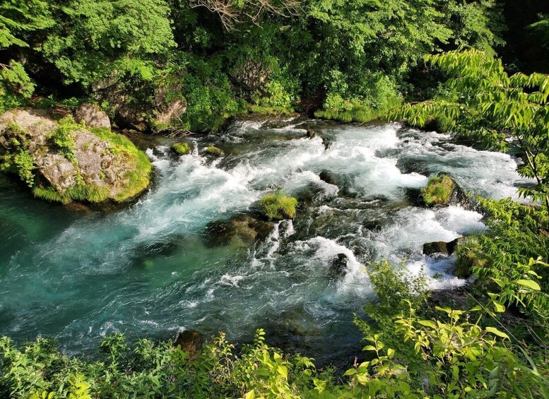 A river flowing through a forested area with rocks and greenery. 1
