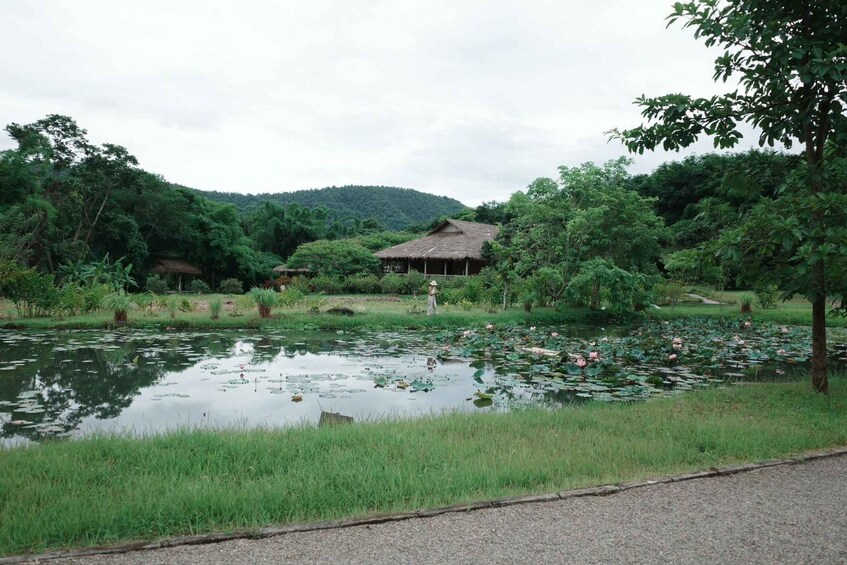 Picture 9 for Activity Chiang Mai: Forest Bathing and Yoga Retreat with Meals 5