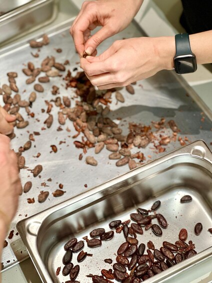 Hands sorting beans on a metal tray. 4