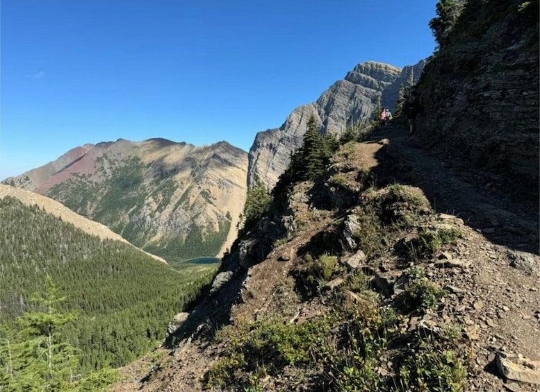 A mountain trail with rocky terrain and dense forest. 1