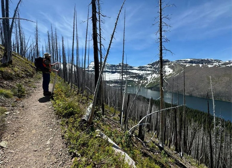 A hiker on a trail with dead trees and a lake in the background. 2
