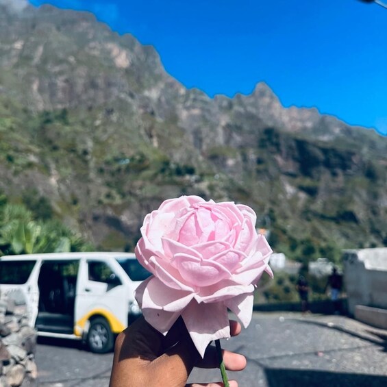 A pink rose held in a hand with a mountainous landscape and a white vehicle in the background. 2