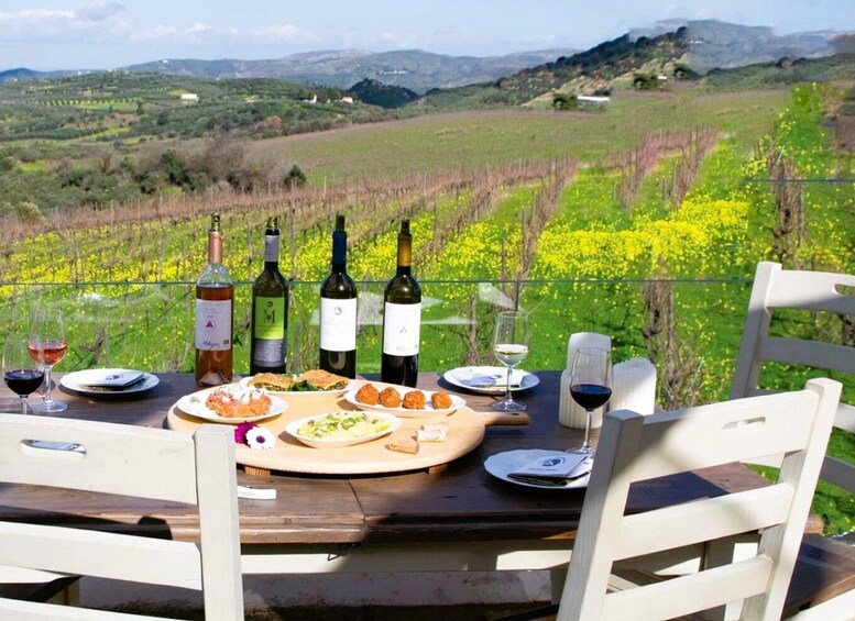 A picnic table with wine bottles, glasses, and plates of food set against a vineyard backdrop. 3