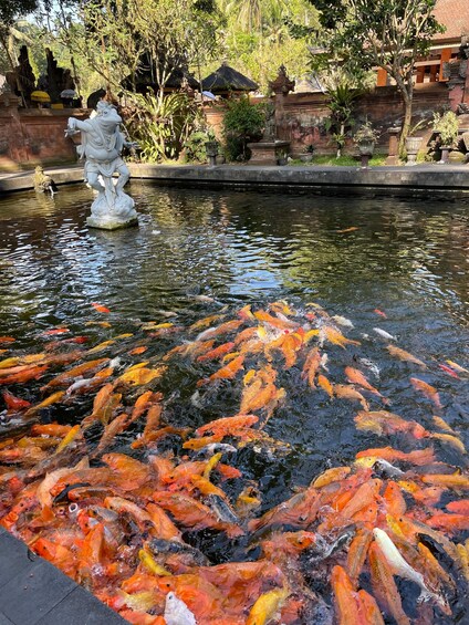 A koi pond with colorful fish, a statue, and traditional architecture in the background. 1