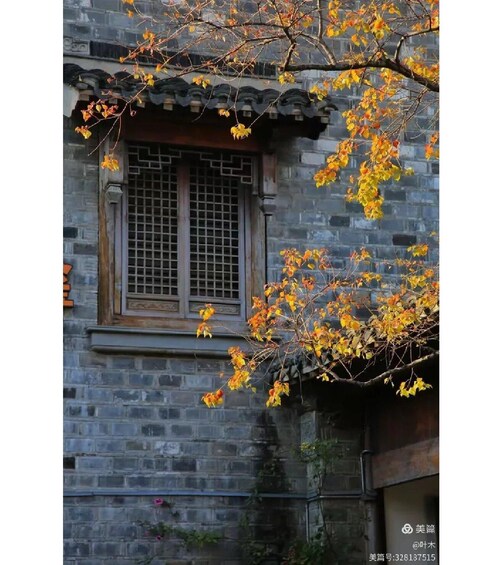 A traditional building with a window featuring a grid pattern, surrounded by autumn foliage. 5