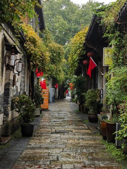 A narrow cobblestone alley flanked by traditional buildings with potted plants and red lanterns. 5