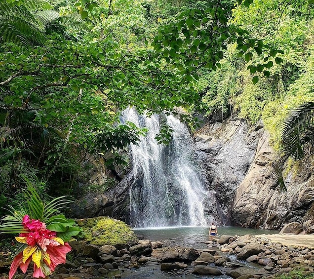 A waterfall in a forested area with a person standing near the water. 1