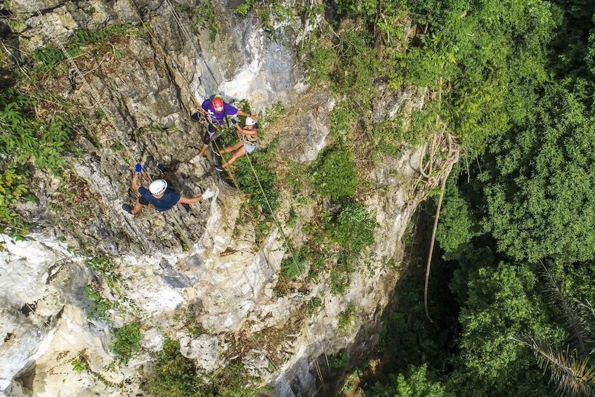 A group of people rappelling down a rocky cliffside surrounded by dense greenery. 2