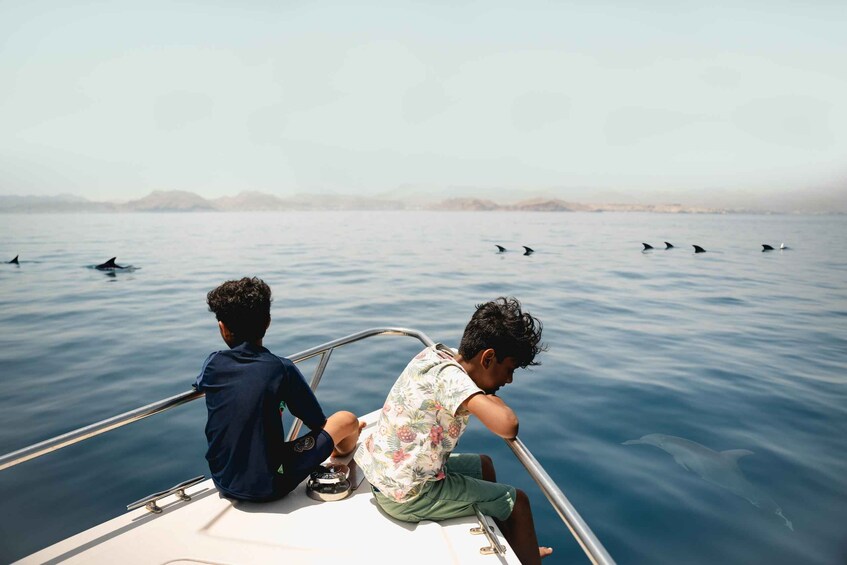 Two individuals on a boat with dolphins swimming in the water. 4