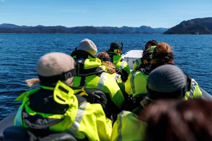 A group of people on a boat wearing bright yellow life jackets, with a body of water and distant mountains in the background. 1