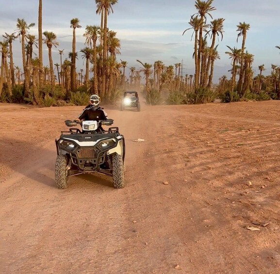 A person on an ATV on a dirt road with palm trees on both sides. 2