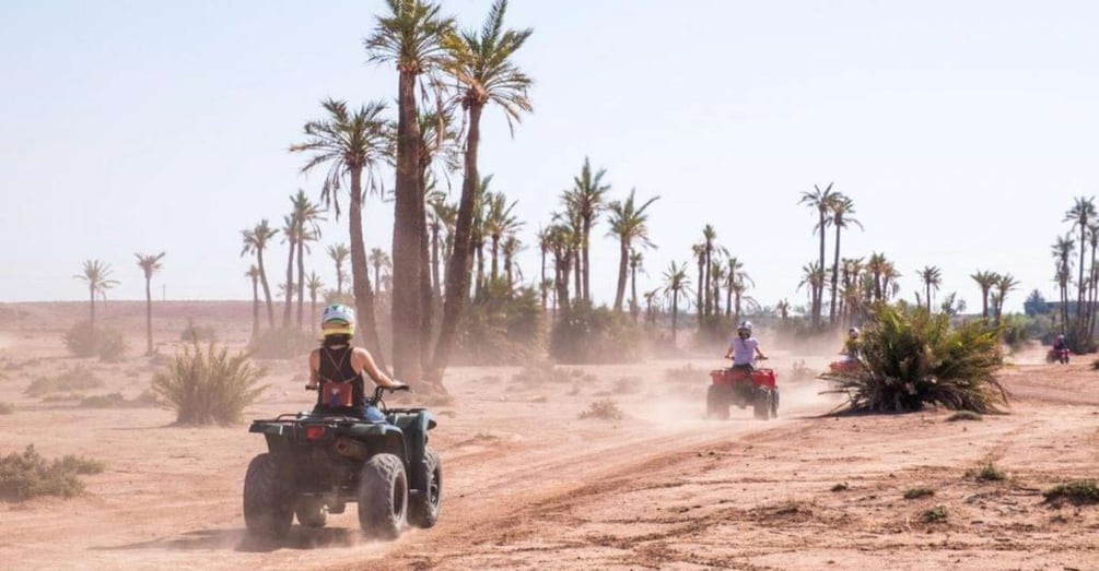 Two people riding atv's on a dusty road with palm trees in the background. 1