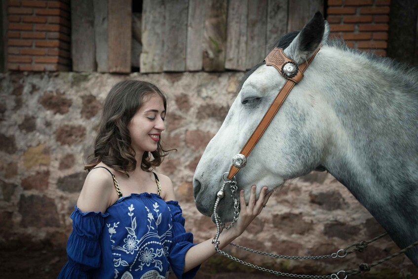 A person petting a white horse with a leather halter. 4