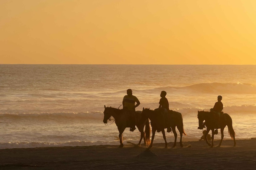 Silhouettes of three people riding horses along a beach at sunset. 1