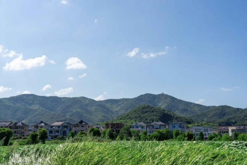 A residential area with houses and a mountain range in the background. 1