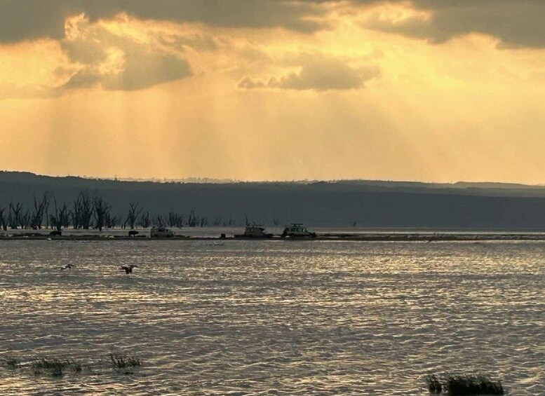 A body of water with a distant shoreline, a line of trees, and a vehicle on the water. 3