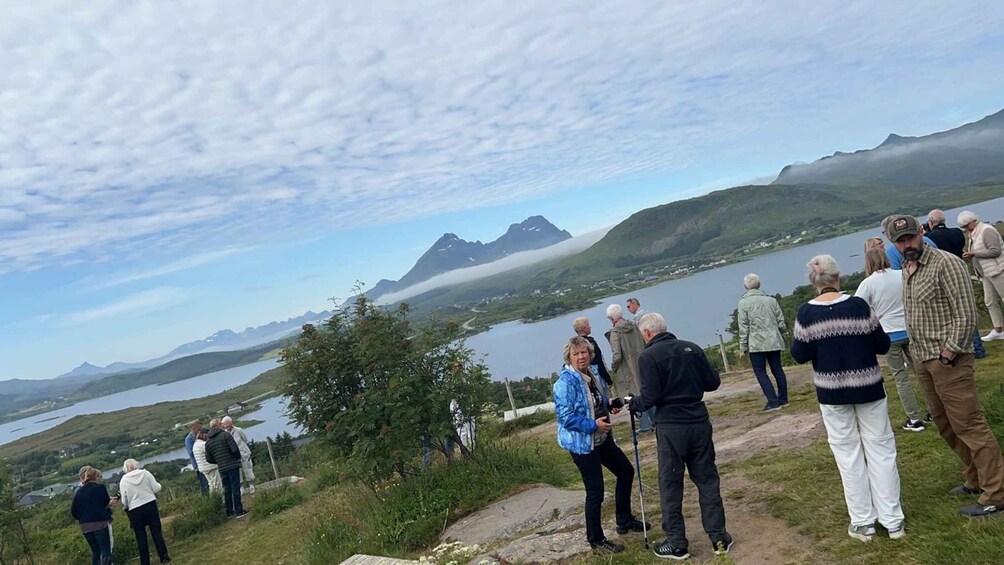 Picture 9 for Activity Svolvær: Private Lofoten Tour for Large Groups 5