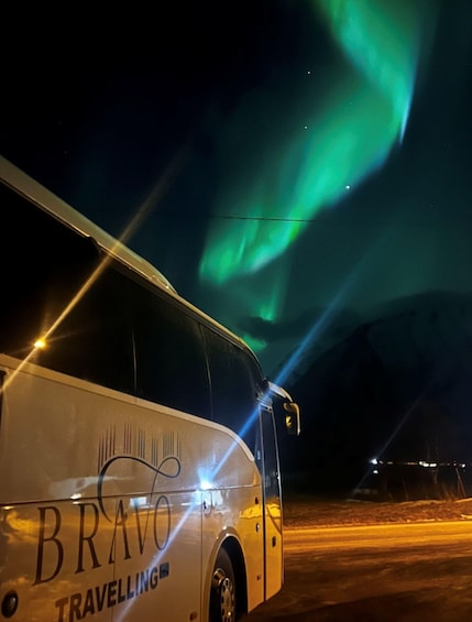 Picture 4 for Activity Svolvær: Private Lofoten Tour for Large Groups 2