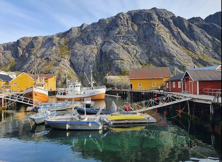 Picture 2 for Activity Svolvær: Private Lofoten Tour for Large Groups 2