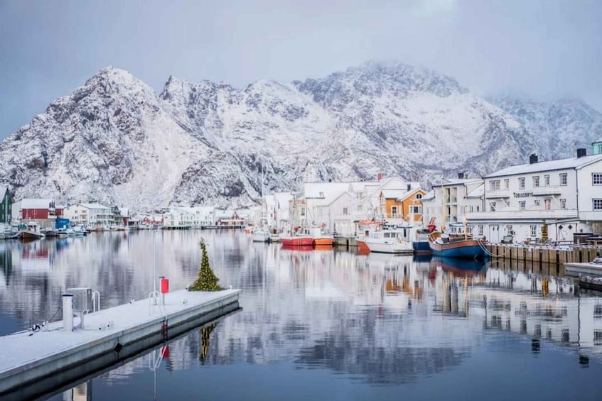 Picture 6 for Activity Svolvær: Private Lofoten Tour for Large Groups 4