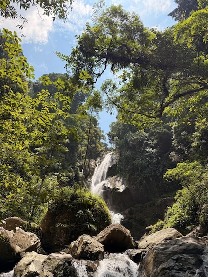 A waterfall surrounded by lush greenery. 1