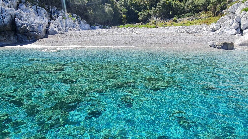 A clear turquoise sea with rocky shores and a forested hillside. 2