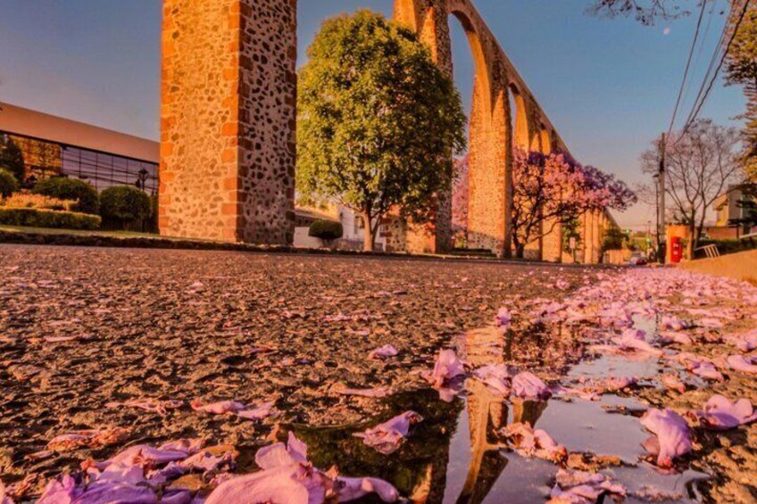 A stone bridge, cherry blossoms, and a pond with fallen petals. 4