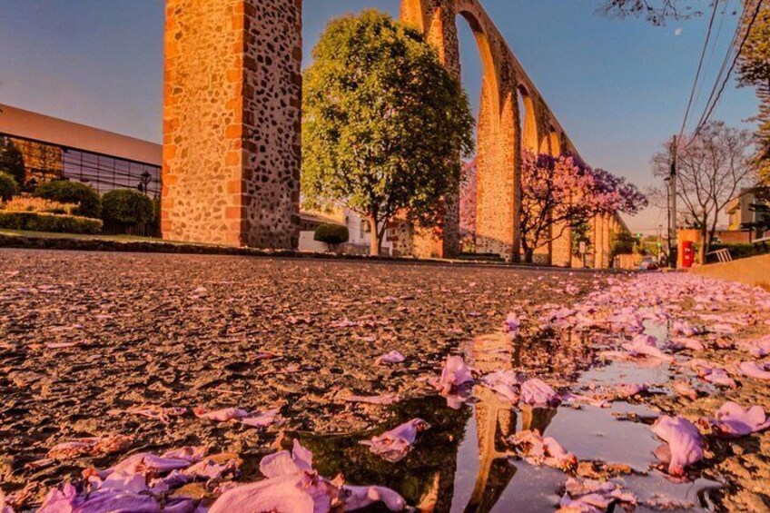 A stone bridge, a tree with pink blossoms, and a puddle reflecting the sky. 2