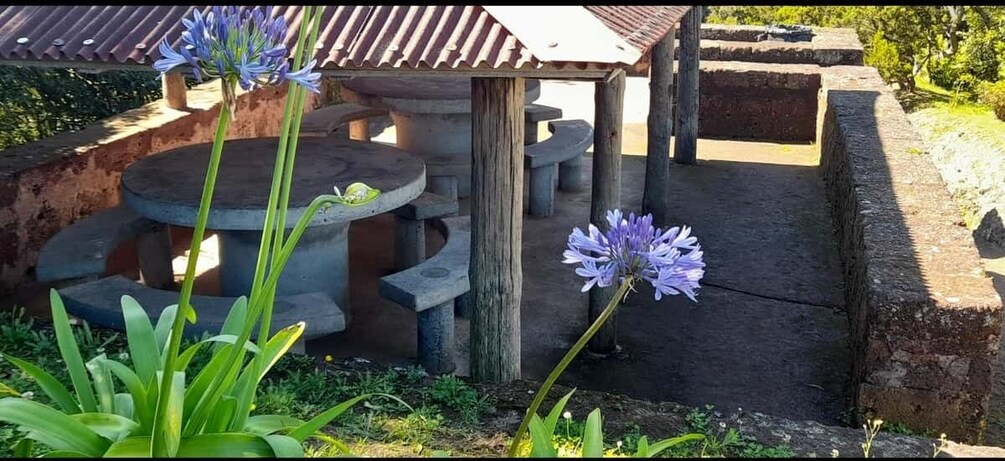 A rustic outdoor seating area with stone tables and benches, surrounded by greenery and a single purple flower. 2