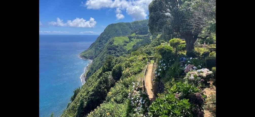 A coastal landscape with a dirt path, lush greenery, and a view of the ocean. 4