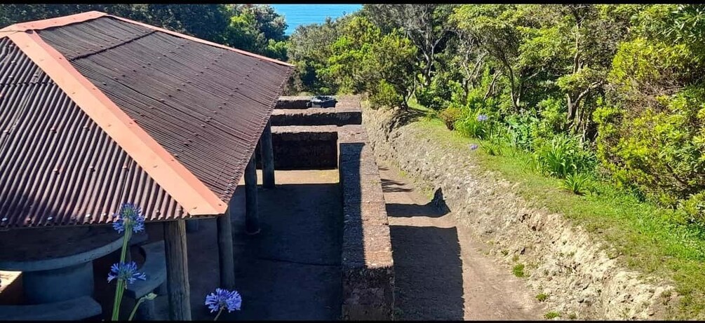A building with a corrugated metal roof, a stone pathway, and lush greenery. 3