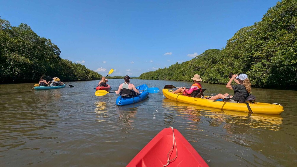People kayaking on a river surrounded by dense greenery. 1