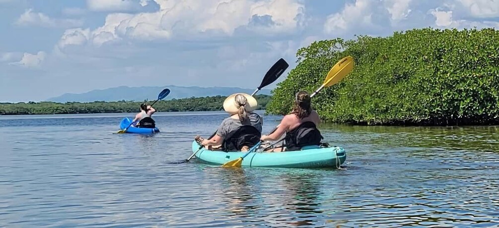People kayaking on a calm lake with dense mangrove trees in the background. 3