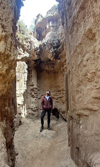 A person standing in a narrow canyon with rocky walls and a small animal nearby. 1