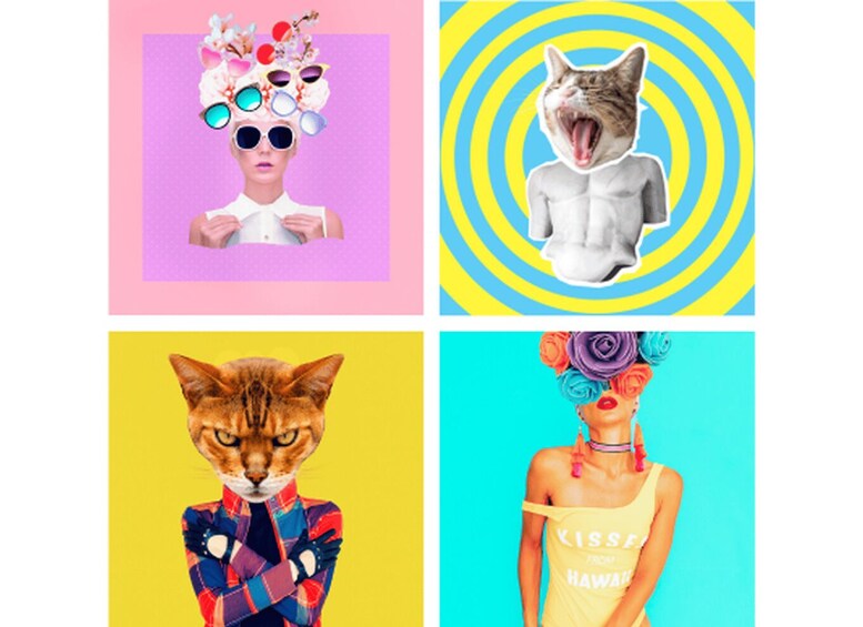 A collage of four distinct scenes: a person with a floral headpiece, a cat with a human torso, a cat with a plaid jacket, and a person with a floral headpiece and a yellow tank top. 3