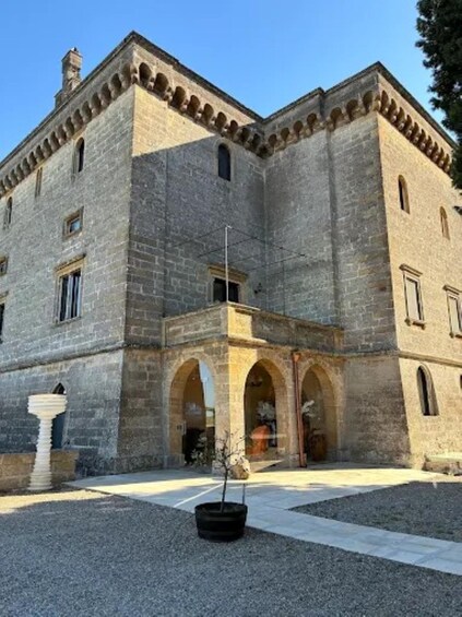 Picture 45 for Activity Salento: Villa Neviera Vineyard Walk and Brunch 2