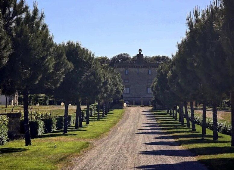 Picture 43 for Activity Salento: Villa Neviera Vineyard Walk and Brunch 5