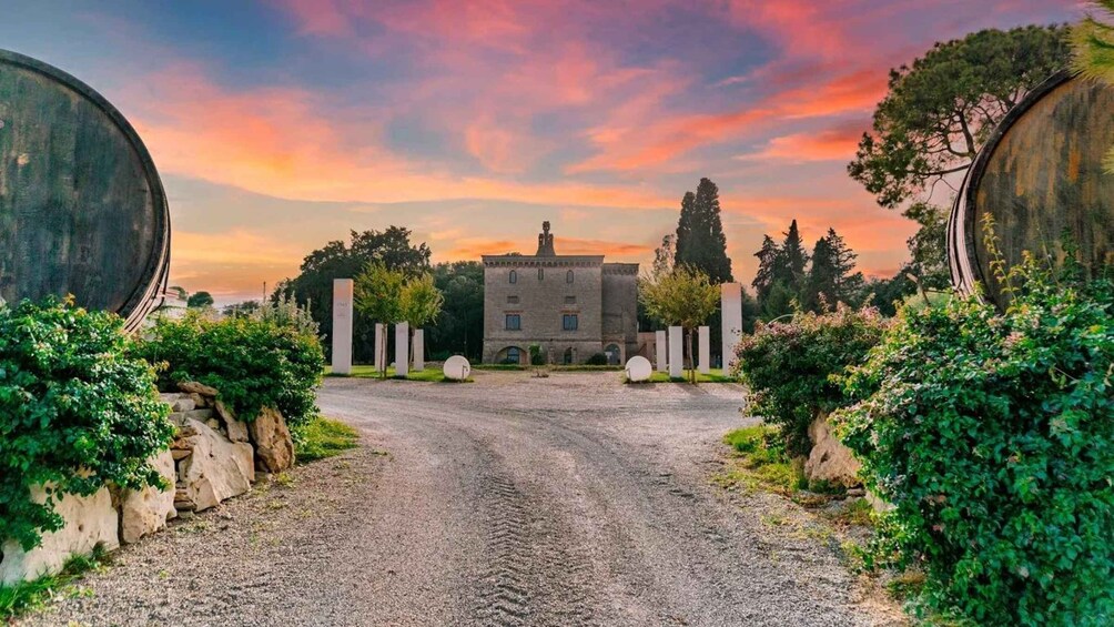 A gravel driveway leading to a stone building with a tower, surrounded by greenery and trees. 3