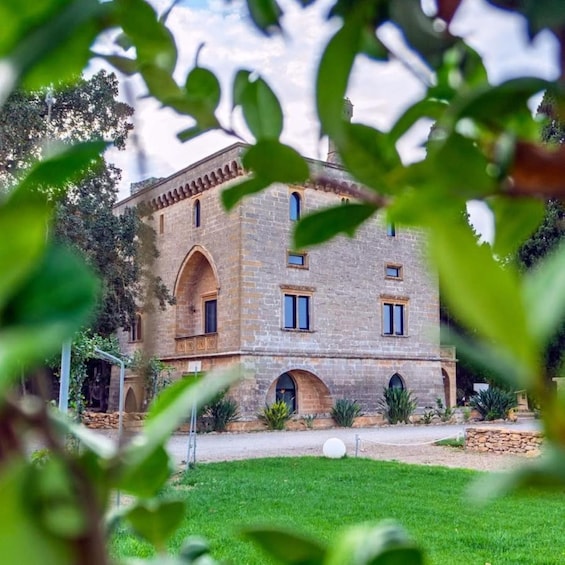 Picture 40 for Activity Salento: Villa Neviera Vineyard Walk and Brunch 3