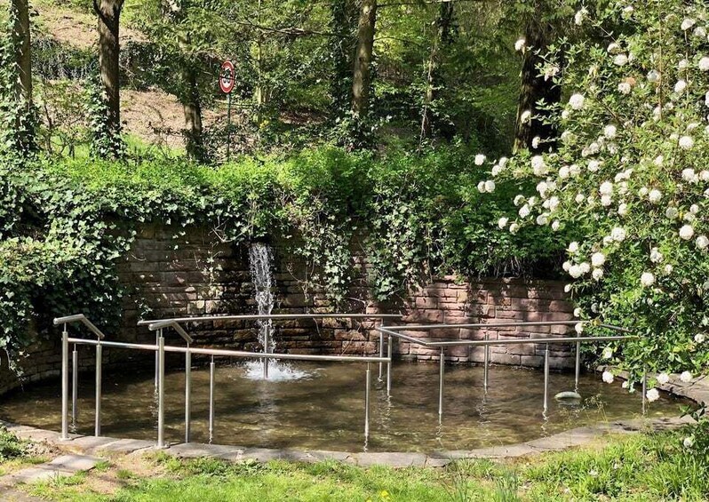 A stone wall with a water feature, metal railings, and lush greenery. 3
