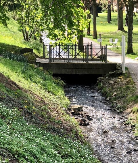 A small stream flowing under a bridge with a metal railing, surrounded by greenery and trees. 1