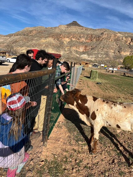 A group of people at a fenced area with a cow, a mountain in the background, and a clear sky. 2