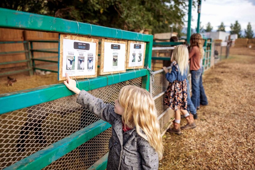 A person pointing at a signboard with animal pictures and names. 1