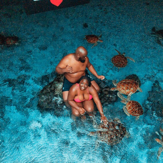 A person in a pink swimsuit and another in black swim trunks sitting on rocks in a pool with sea turtles. 3