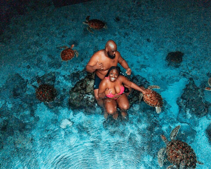A person in a pink swimsuit holding a turtle in a pool with other turtles around. 1