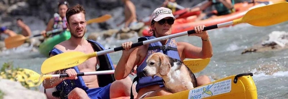 People kayaking with a dog on a river. 1
