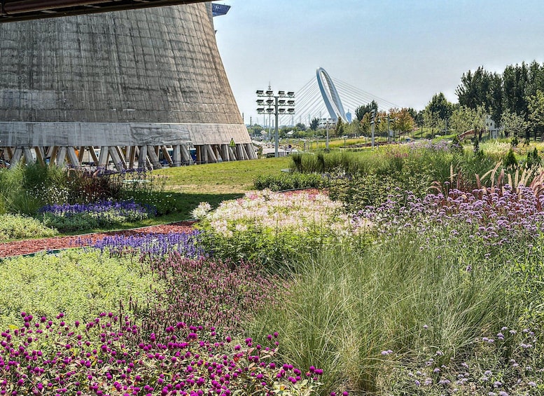 A garden with various flowers and a large building structure in the background. 2