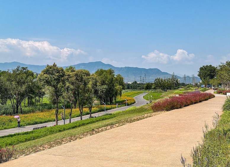 A park with a winding path, trees, and a distant mountain range. 4