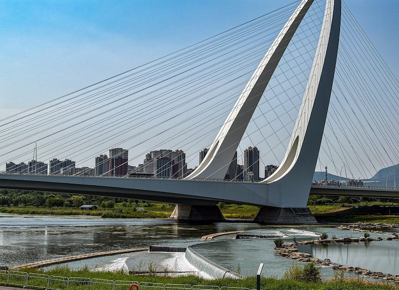 A cable-stayed bridge with a city skyline in the background. 5